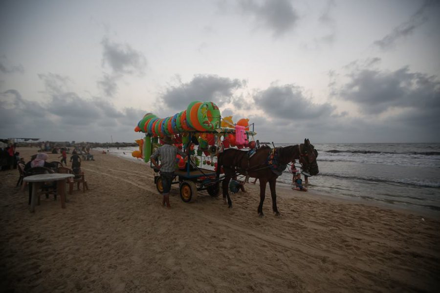 Gaza beach with horse cart
